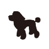 小型犬