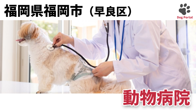 最新 福岡市城南区の動物病院 3件 最新 福岡市城南区の動物病院 3件