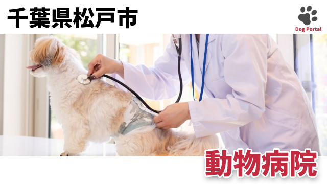 最新 千葉県松戸市の動物病院 31件 3ページ目 最新 千葉県松戸市の動物病院 31件 3ページ目