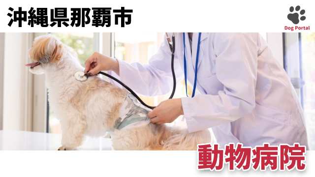 沖縄県那覇市の動物病院 10件