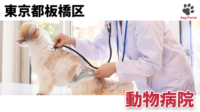 最新 東京都板橋区の動物病院 28件 最新 東京都板橋区の動物病院 28件