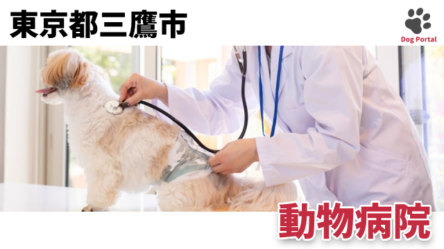 最新 東京都三鷹市の動物病院 8件 最新 東京都三鷹市の動物病院 8件