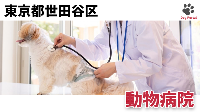 最新 東京都世田谷区の動物病院 60件 5ページ目 最新 東京都世田谷区の動物病院 60件 5ページ目