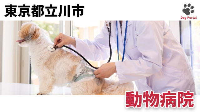 最新 東京都東村山市の動物病院 9件 最新 東京都東村山市の動物病院 9件