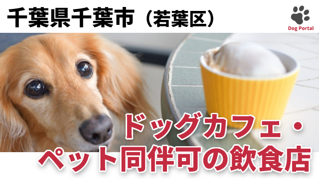最新 千葉市緑区のドッグカフェ ペット可飲食店 6件 最新 千葉市緑区のドッグカフェ ペット可飲食店 6件