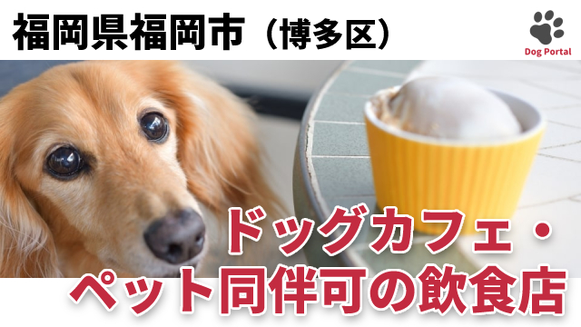 最新 福岡市博多区のドッグカフェ ペット可飲食店 9件 最新 福岡市博多区のドッグカフェ ペット可飲食店 9件