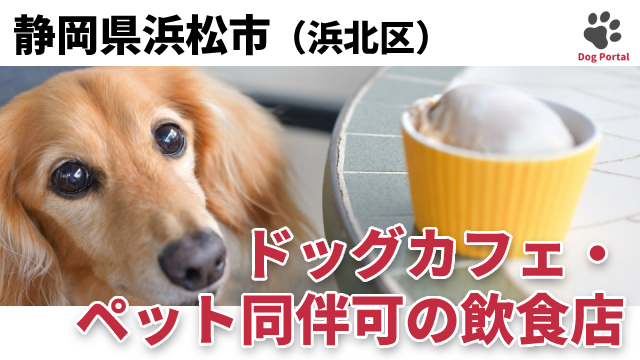 最新 浜松市浜北区のドッグカフェ ペット可飲食店 5件 最新 浜松市浜北区のドッグカフェ ペット可飲食店 5件