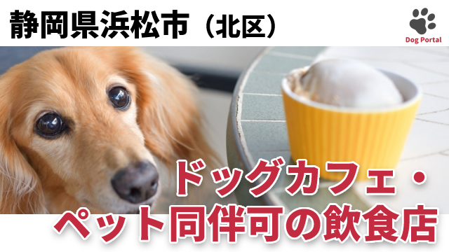最新 浜松市北区のドッグカフェ ペット可飲食店 8件 最新 浜松市北区のドッグカフェ ペット可飲食店 8件