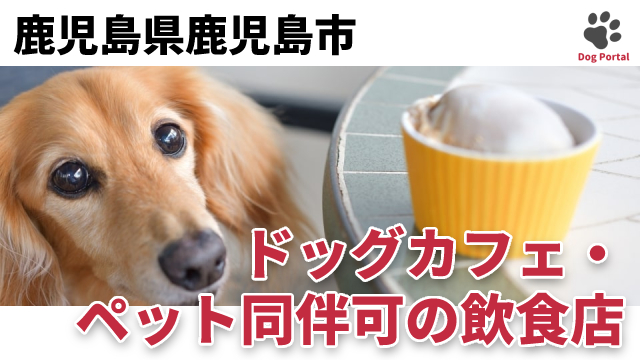 最新 鹿児島県鹿児島市のドッグカフェ ペット可飲食店 10件 最新 鹿児島県鹿児島市のドッグカフェ ペット可飲食店 10件