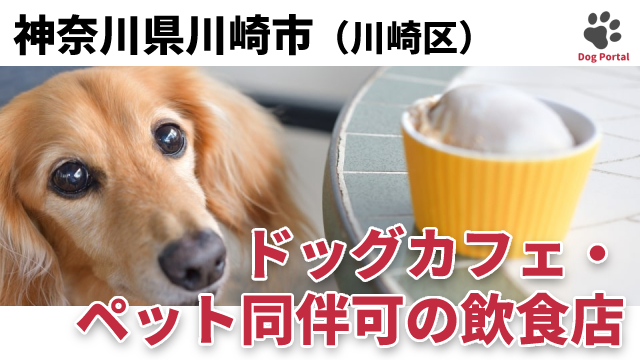 最新 川崎市川崎区のドッグカフェ ペット可飲食店 件 最新 川崎市川崎区のドッグカフェ ペット可飲食店 件