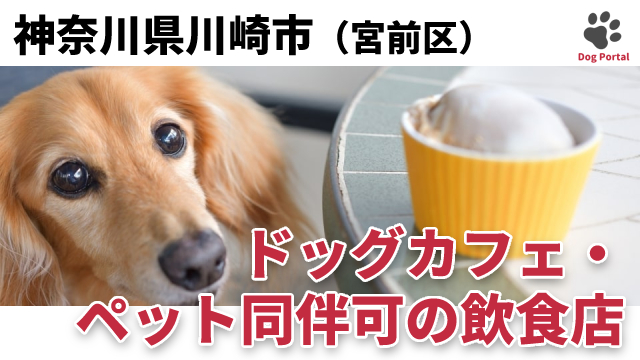 最新 川崎市宮前区のドッグカフェ ペット可飲食店 8件 最新 川崎市宮前区のドッグカフェ ペット可飲食店 8件