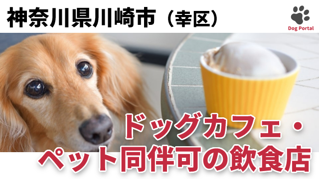 最新 川崎市幸区のドッグカフェ ペット可飲食店 3件 最新 川崎市幸区のドッグカフェ ペット可飲食店 3件
