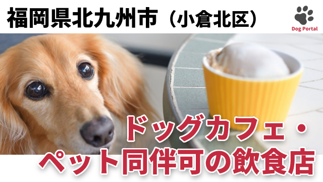 最新 北九州市八幡西区のドッグカフェ ペット可飲食店 4件 最新 北九州市八幡西区のドッグカフェ ペット可飲食店 4件