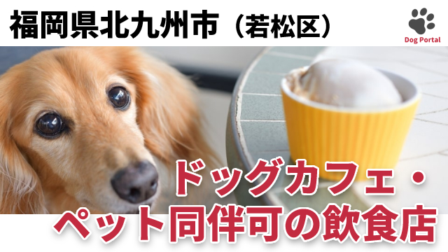 最新 北九州市若松区のドッグカフェ ペット可飲食店 2件 最新 北九州市若松区のドッグカフェ ペット可飲食店 2件