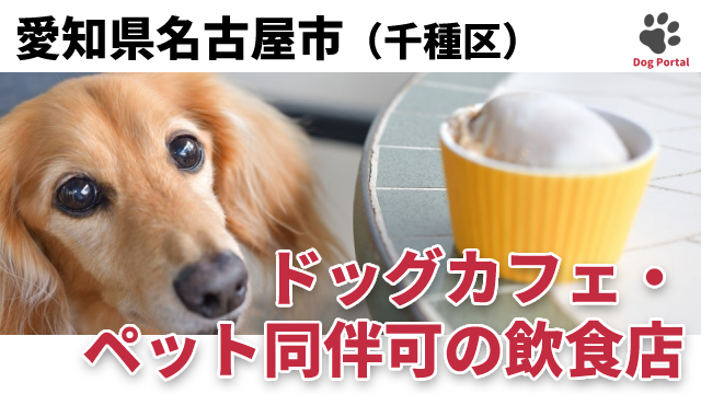 名古屋市千種区のドッグカフェ ペット可飲食店 21件