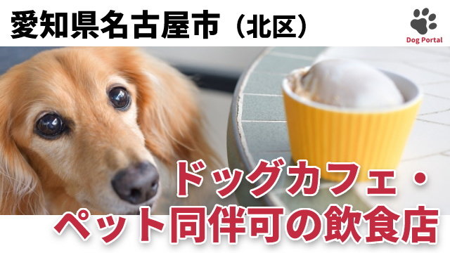 最新 名古屋市北区のドッグカフェ ペット可飲食店 10件 最新 名古屋市北区のドッグカフェ ペット可飲食店 10件