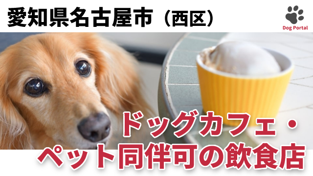 最新 名古屋市西区のドッグカフェ ペット可飲食店 17件 最新 名古屋市西区のドッグカフェ ペット可飲食店 17件