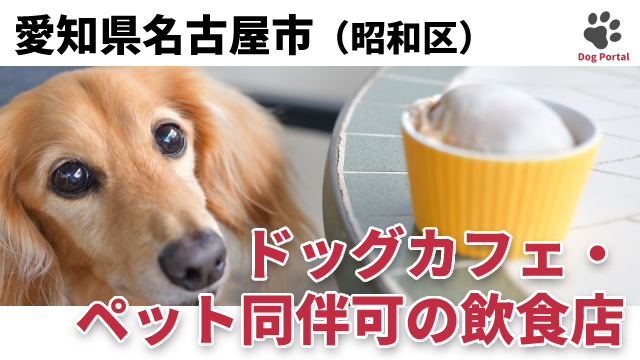 最新 名古屋市千種区のドッグカフェ ペット可飲食店 21件 最新 名古屋市千種区のドッグカフェ ペット可飲食店 21件