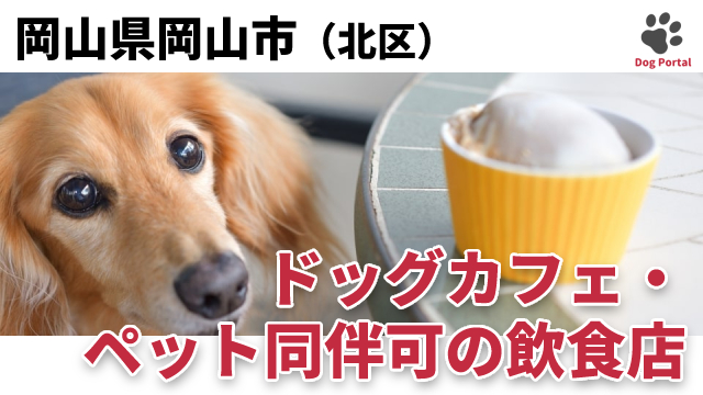 最新 岡山市北区のドッグカフェ ペット可飲食店 15件 最新 岡山市北区のドッグカフェ ペット可飲食店 15件