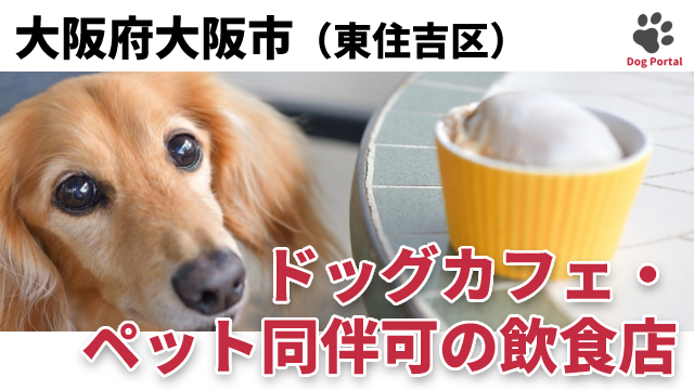 最新 大阪市住吉区のドッグカフェ ペット可飲食店 2件 最新 大阪市住吉区のドッグカフェ ペット可飲食店 2件