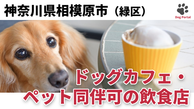 最新 相模原市緑区のドッグカフェ ペット可飲食店 9件 最新 相模原市緑区のドッグカフェ ペット可飲食店 9件