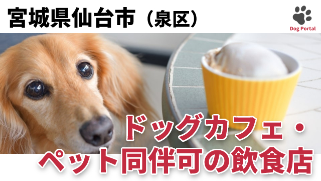 最新 仙台市泉区のドッグカフェ ペット可飲食店 10件 最新 仙台市泉区のドッグカフェ ペット可飲食店 10件