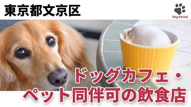 最新 東京都新宿区のドッグカフェ ペット可飲食店 35件 最新 東京都新宿区のドッグカフェ ペット可飲食店 35件