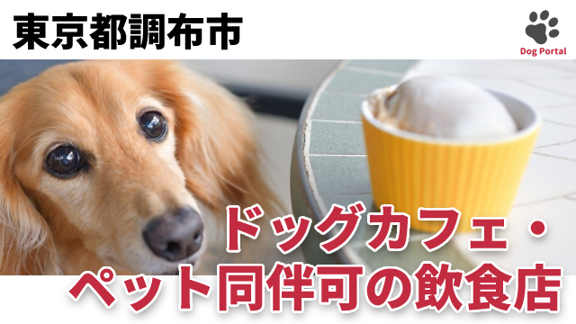 最新 東京都世田谷区のドッグカフェ ペット可飲食店 75件 最新 東京都世田谷区のドッグカフェ ペット可飲食店 75件