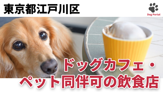 最新 東京都江戸川区のドッグカフェ ペット可飲食店 39件 最新 東京都江戸川区のドッグカフェ ペット可飲食店 39件