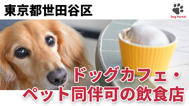 最新 東京都渋谷区のドッグカフェ ペット可飲食店 52件 最新 東京都渋谷区のドッグカフェ ペット可飲食店 52件