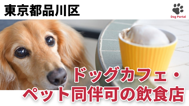 最新 東京都品川区のドッグカフェ ペット可飲食店 64件 最新 東京都品川区のドッグカフェ ペット可飲食店 64件