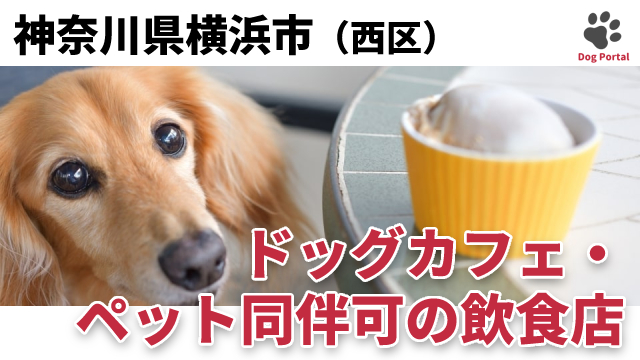 最新 横浜市西区のドッグカフェ ペット可飲食店 29件 最新 横浜市西区のドッグカフェ ペット可飲食店 29件
