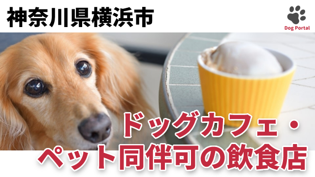 最新 神奈川県横浜市のドッグカフェ ペット可飲食店 280件 最新 神奈川県横浜市のドッグカフェ ペット可飲食店 280件