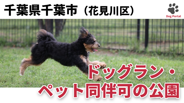 最新 千葉市緑区のドッグラン ペット可公園 5件 最新 千葉市緑区のドッグラン ペット可公園 5件