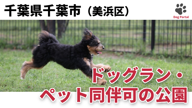 最新 千葉市美浜区のドッグラン ペット可公園 4件 最新 千葉市美浜区のドッグラン ペット可公園 4件
