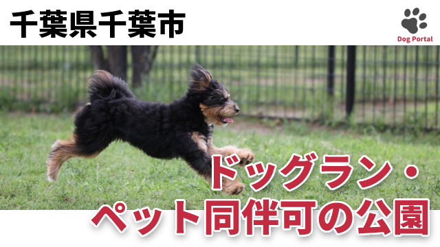 最新 千葉県千葉市のドッグラン ペット可公園 16件 最新 千葉県千葉市のドッグラン ペット可公園 16件