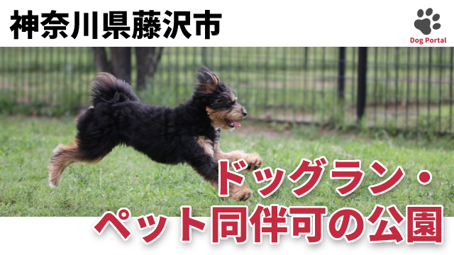 最新 神奈川県藤沢市のドッグラン ペット可公園 16件 最新 神奈川県藤沢市のドッグラン ペット可公園 16件