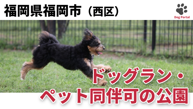 最新 福岡市西区のドッグカフェ ペット可飲食店 7件 最新 福岡市西区のドッグカフェ ペット可飲食店 7件