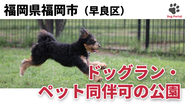 最新 福岡市西区のドッグラン ペット可公園 4件 最新 福岡市西区のドッグラン ペット可公園 4件