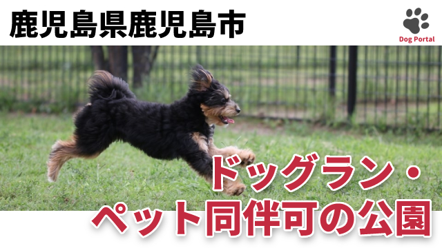 最新 鹿児島県鹿児島市のドッグカフェ ペット可飲食店 10件 最新 鹿児島県鹿児島市のドッグカフェ ペット可飲食店 10件