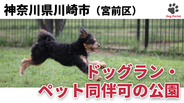 最新 川崎市宮前区のドッグカフェ ペット可飲食店 8件 最新 川崎市宮前区のドッグカフェ ペット可飲食店 8件