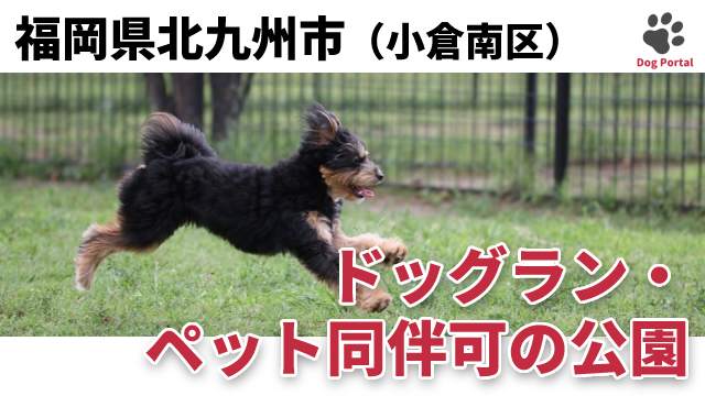 最新 北九州市小倉南区のドッグカフェ ペット可飲食店 3件