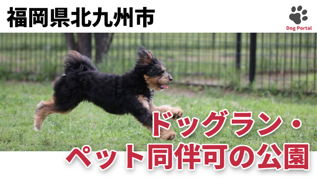 最新 福岡県北九州市のドッグカフェ ペット可飲食店 24件 最新 福岡県北九州市のドッグカフェ ペット可飲食店 24件