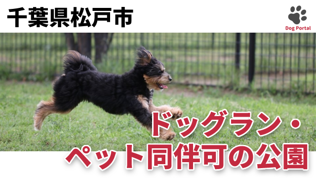 千葉県松戸市のドッグラン ペット可公園 9件