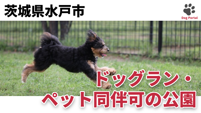 最新 茨城県水戸市のペットシッター 散歩代行 3件