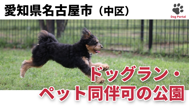 最新 名古屋市中区のドッグカフェ ペット可飲食店 35件 最新 名古屋市中区のドッグカフェ ペット可飲食店 35件