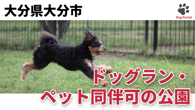 最新 大分県大分市のドッグカフェ ペット可飲食店 5件 最新 大分県大分市のドッグカフェ ペット可飲食店 5件