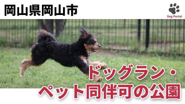 最新 岡山県岡山市のドッグラン ペット可公園 16件 最新 岡山県岡山市のドッグラン ペット可公園 16件