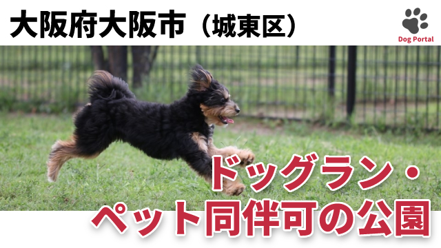 最新 大阪市城東区のドッグラン ペット可公園 2件 最新 大阪市城東区のドッグラン ペット可公園 2件