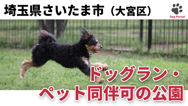 最新 さいたま市大宮区のドッグカフェ ペット可飲食店 16件 最新 さいたま市大宮区のドッグカフェ ペット可飲食店 16件